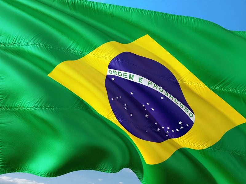 Brazilian malagueta pepper